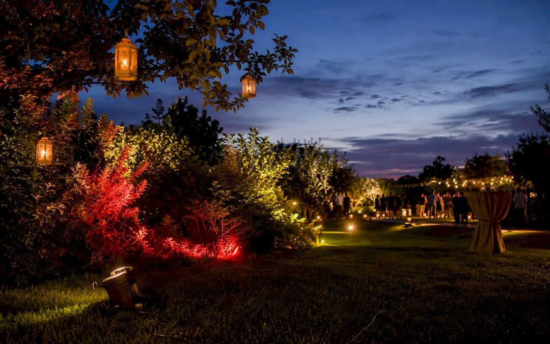 Outdoor garden party lit by diverse professional lighting types